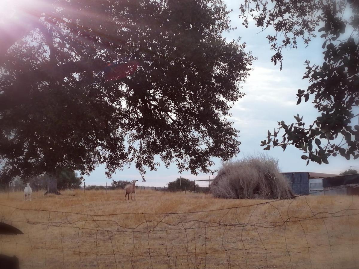 הוילה Outeiro  Casa Da Orada מראה חיצוני תמונה